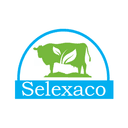 Selexaco Logo