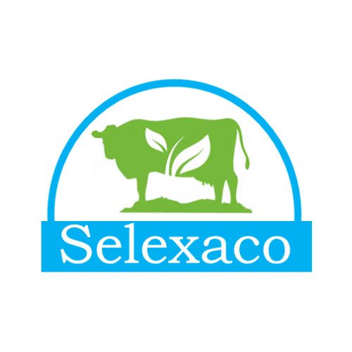 Selexaco Logo